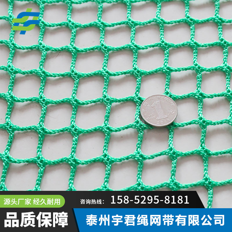 無結(jié)防護網(wǎng)